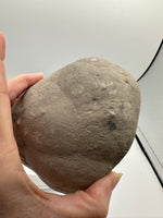 Septarian Nodule Calcite, Muddy Creek, Orderville, Kane Co. UT UV Reactive #2