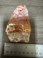 8th Vein Ocean Jasper Slab #53