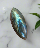 Marquise Labradorite Cabochon 71a