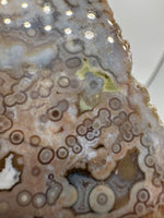 8th Vein Ocean Jasper Slab #47