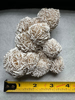 Selenite "Desert Rose," Samalayuka Desert, Chihuahua, Mexico #1