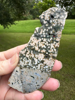 8th Vein Ocean Jasper Slab #119