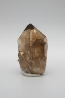 Natural Citrine Cathedral Crystal, Congo, Lightbrary #6