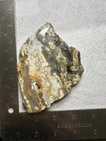 8th Vein Ocean Jasper Slab #133