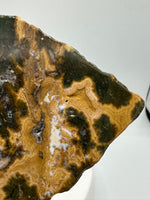 8th Vein Ocean Jasper Slab #135