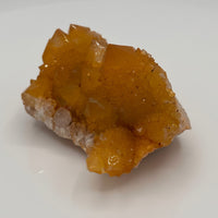 Sunshine Spirit Cactus, Golden Healer Quartz Cluster, South Africa #2