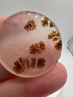 Scenic Dendritic Agate Cabochon #2