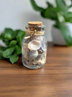 Glass Jar with Shells #6