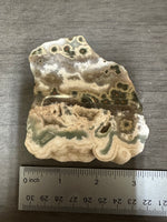 8th Vein Ocean Jasper Slab #62