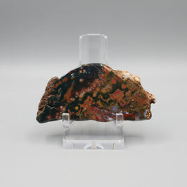 8th Vein Ocean Jasper Slab #109