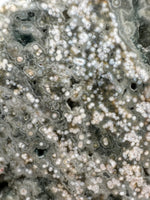8th Vein Ocean Jasper Slab #18