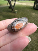 Botswana Agate Semi Tumbled #2
