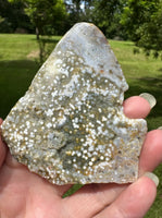 8th Vein Ocean Jasper Slab #77