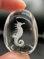 Beautiful Seahorse Garden Quartz Inner Scene Carving #7