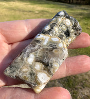 8th Vein Ocean Jasper Polished Free Form #16