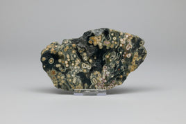 8th Vein Ocean Jasper Slab #19