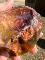 Savannah River Agate Specimen 1b