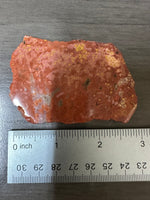 8th Vein Ocean Jasper Slab #75