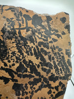 Nevada Picture Jasper Slab - Old Stock