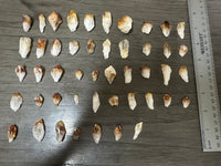 Citrine Points Lot of 47