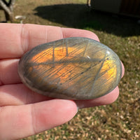 Colorful Labradorite Palmstone #19