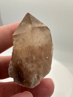 Natural Citrine Cathedral Crystal, Congo, Lightbrary #7