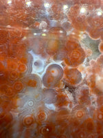 8th Vein Ocean Jasper Slab #56