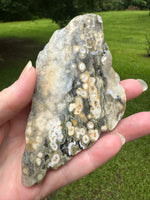 8th Vein Ocean Jasper Slab #30