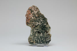 8th Vein Ocean Jasper Slab #20