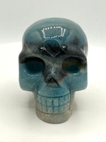 Unique Trolleite Skull #1