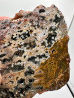 8th Vein Ocean Jasper Slab #36