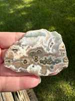 8th Vein Ocean Jasper Slab #110