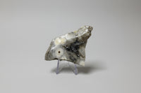 6th Vein Ocean Jasper Polished Freeform #29