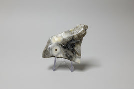 6th Vein Ocean Jasper Polished Freeform #29