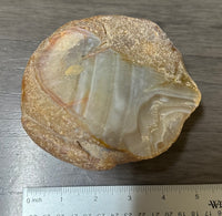 Natural Rough Agate Specimen #8