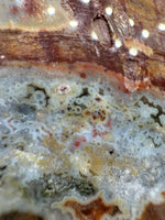 8th Vein Ocean Jasper Slab #53