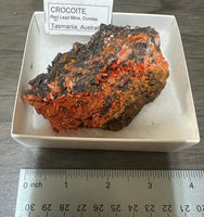 Crocoite, Red Lead Mine, Dundas, Tasmania, Australia