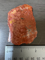 8th Vein Ocean Jasper Slab #75