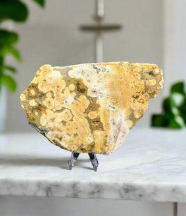 8th Vein Ocean Jasper Slab #132