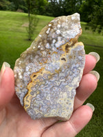 8th Vein Ocean Jasper Slab #74