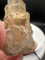 Natural Kundalini Citrine Lightbrary Crystal #11 – DR Congo
