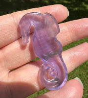 Fluorite Seahorse with Case
