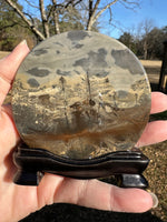 Natural Picture Jasper Slab with Stand #1