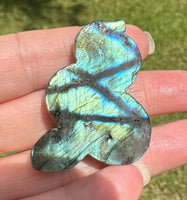 Labradorite Snake with Case