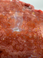 8th Vein Ocean Jasper Slab #56
