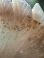 Druzy Dendrite Agate Geode Indigenous-Inspired Profile Headdress Carving #9