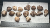 Natural Panda Agate 1lb Bag #2