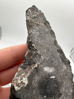 Natural Orthoceras Fossil Specimen #20