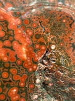 8th Vein Ocean Jasper Slab #7