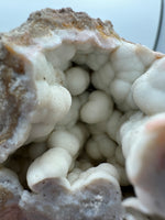 Withlacoochee River Agatized Coral #11